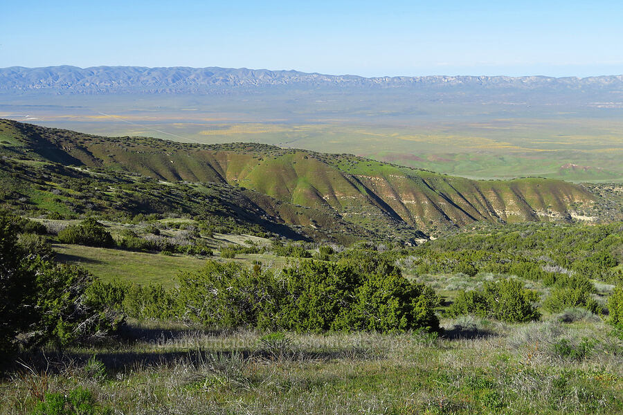 Carrizo Plain [Caliente Mountain Ridge Trail, Carrizo Plain National Monument, San Luis Obispo County, California]