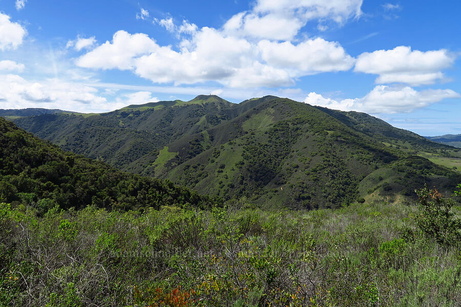 Pinyon Peak [Veeder Trail, Garland Ranch Regional Park, Monterey County, California]