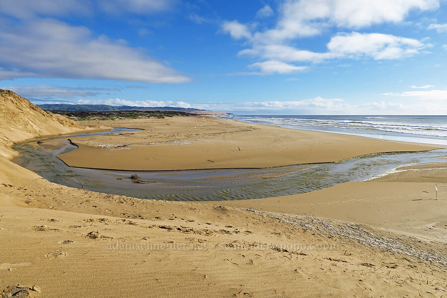 Oso Flaco Creek [Oceano Dunes SVRA, San Luis Obispo County, California]