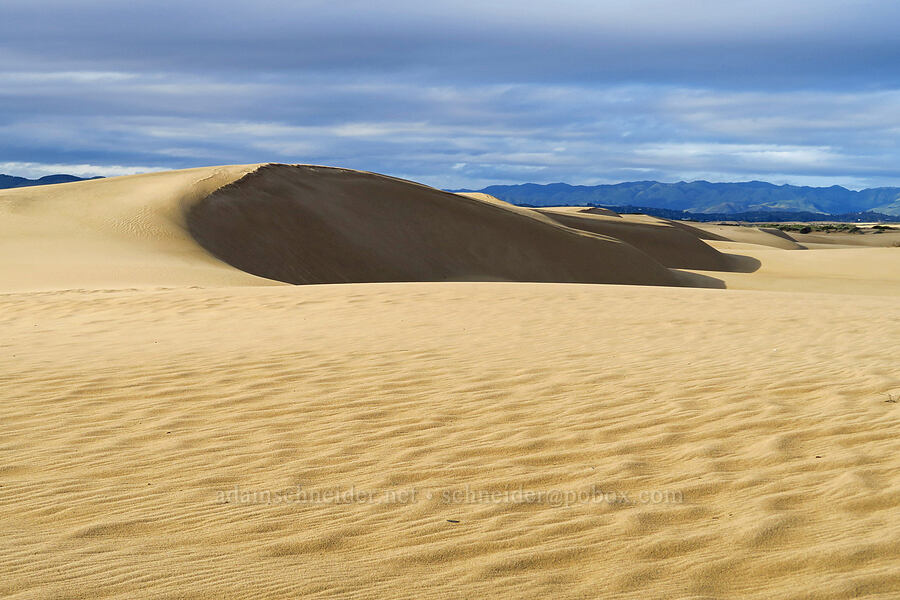 sand dunes [Oceano Dunes SVRA, San Luis Obispo County, California]
