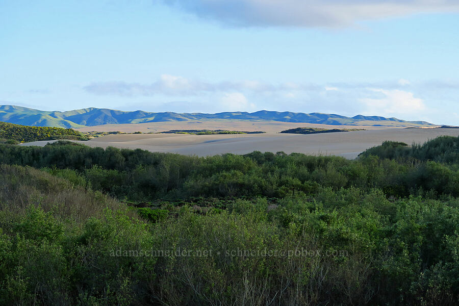 sand dunes & Casmalia Hills [Oceano Dunes SVRA, San Luis Obispo County, California]