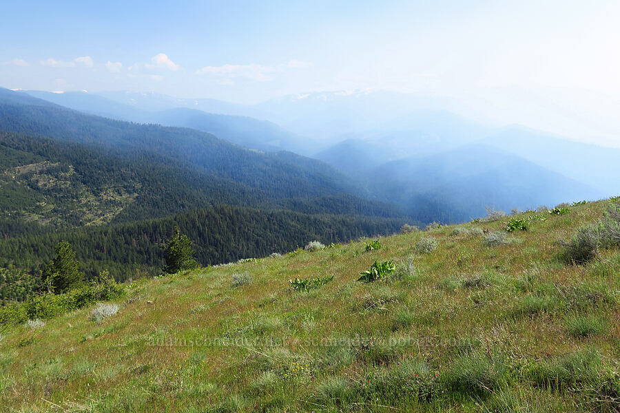 smoke from a prescribed burn [Bald Mountain, Jackson County, Oregon]
