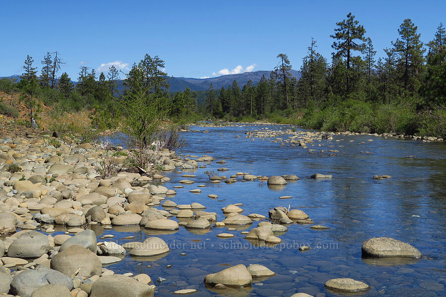 Rough & Ready Creek [Rough and Ready Botanical Area, Rogue River-Siskiyou National Forest, Josephine County, Oregon]