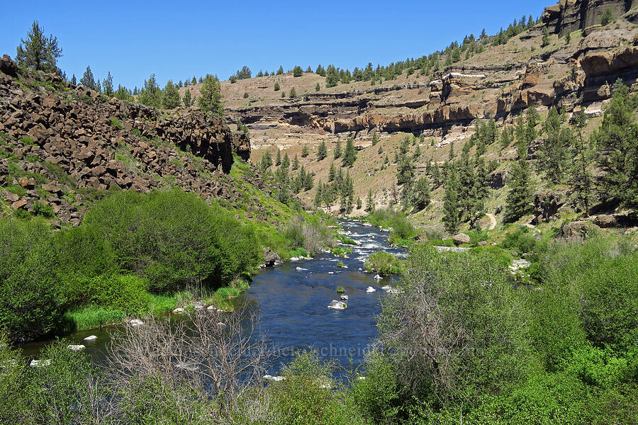 Deschutes River Canyon [Steelhead Falls Trail, Jefferson County, Oregon]