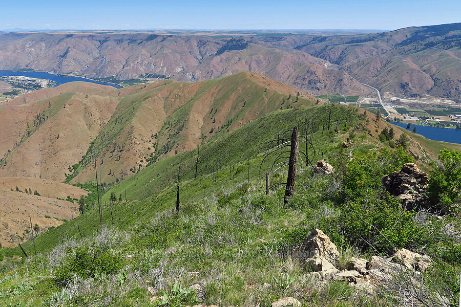 Keystone Ridge [Keystone Ridge, Okanogan-Wenatchee National Forest, Chelan County, Washington]