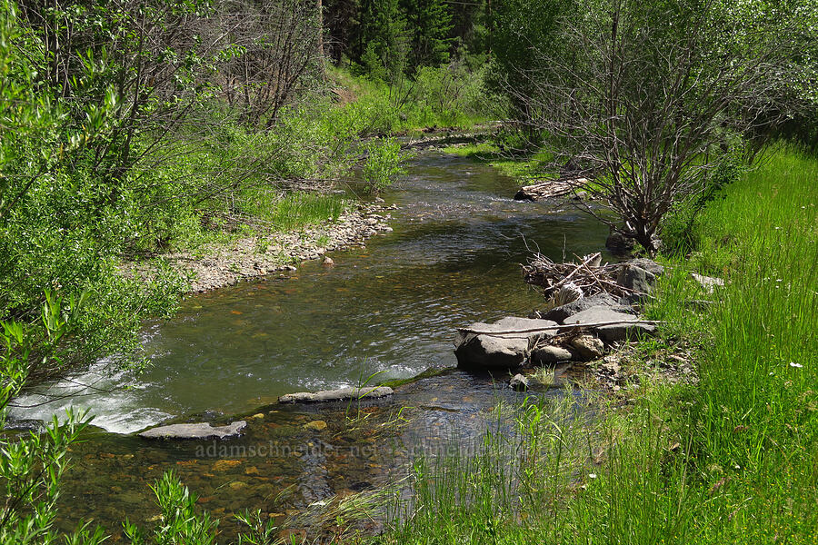 Mill Creek [Forest Road 33, Ochoco National Forest, Crook County, Oregon]