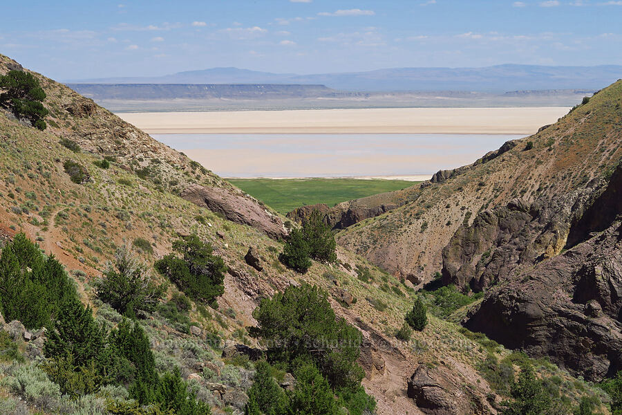 Alvord Desert [Pike Creek Trail, Steens Mountain Wilderness, Harney County, Oregon]
