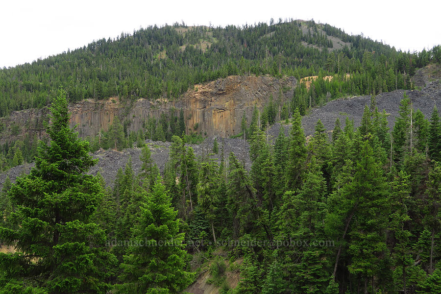 basalt columns (Wildcat Postpiles) [Forest Road 1306, Okanogan-Wenatchee National Forest, Yakima County, Washington]