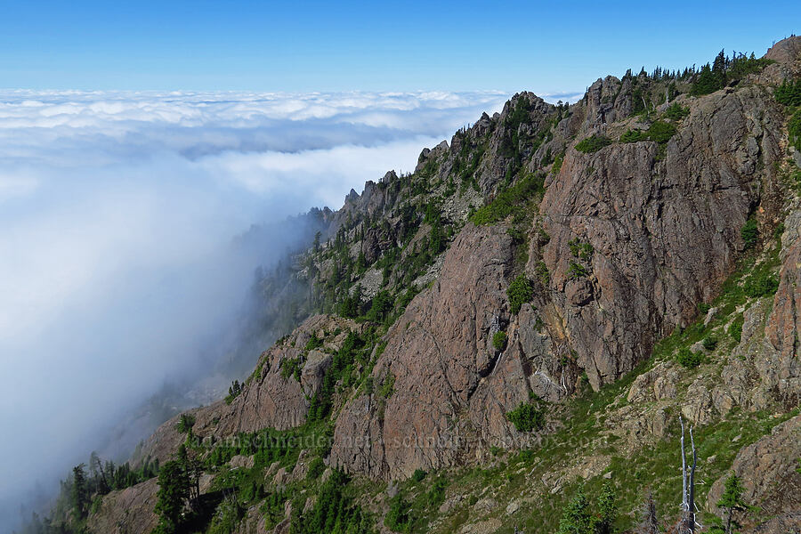 south side of Mount Ellinor [Mt. Ellinor's east ridge, Olympic National Forest, Mason County, Washington]