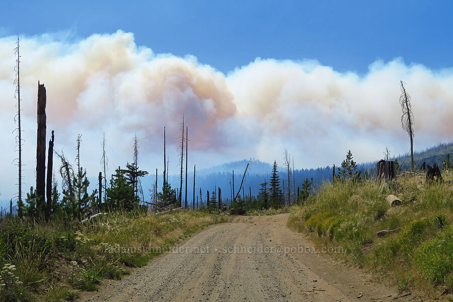 wildfire smoke [Forest Road 8040-500, Gifford Pinchot National Forest, Yakima County, Washington]