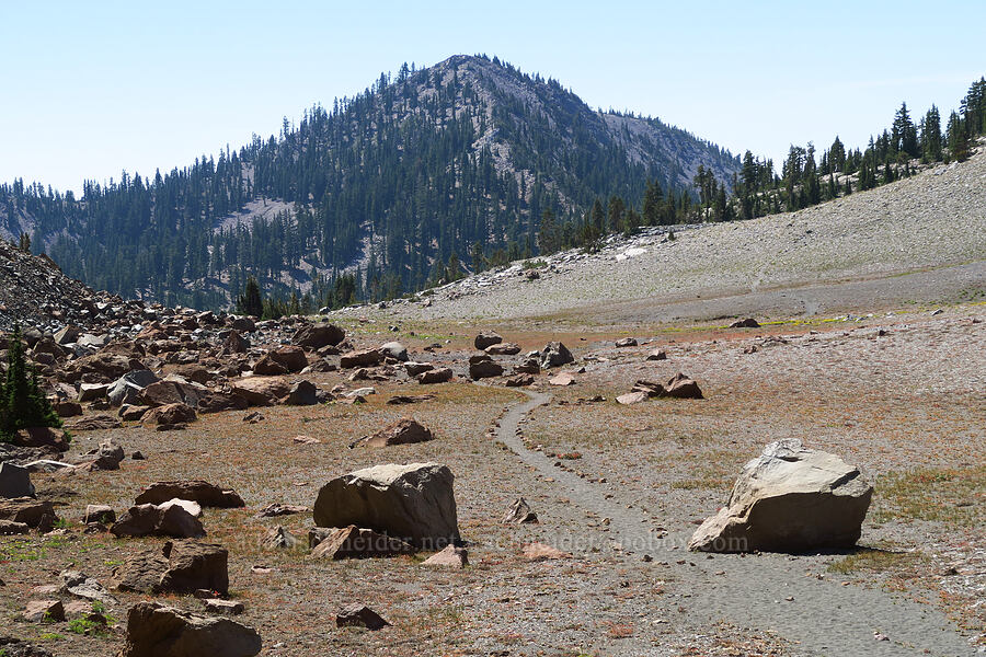 Gray Butte & pumice flats [Gray Butte Trail, Mount Shasta Wilderness, Siskiyou County, California]