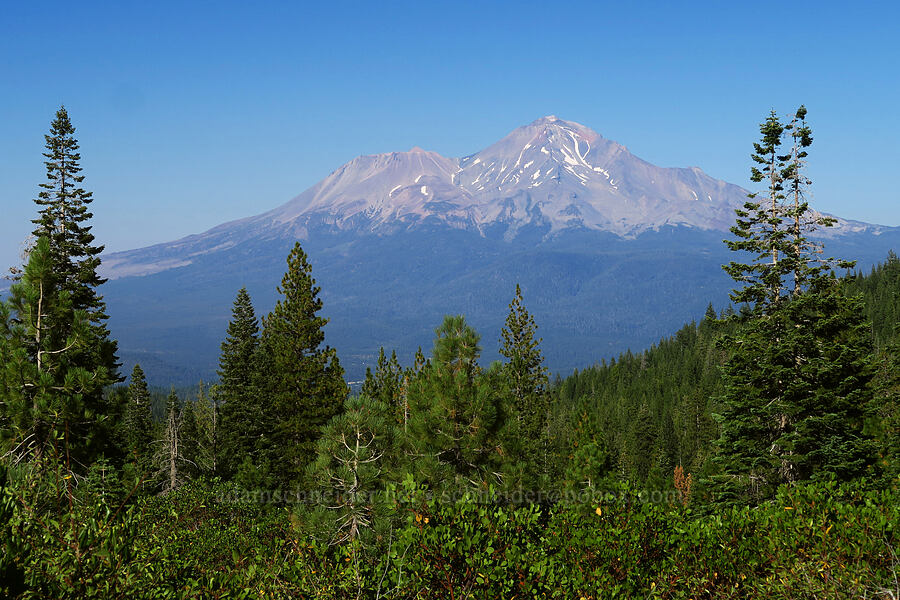 Mount Shasta [Castle Lake Road, Shasta-Trinity National Forest, Siskiyou County, California]