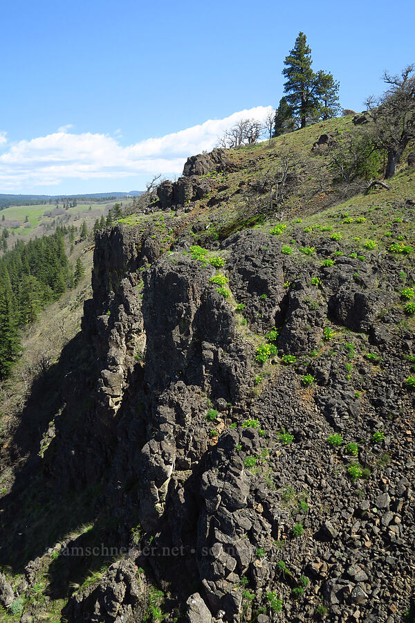 cliffs [Leidl Ridge, Soda Springs Wildlife Area, Klickitat County, Washington]