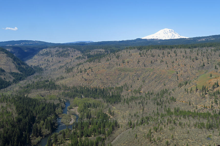 Mount Adams & Klickitat River Canyon [Leidl Ridge, Soda Springs Wildlife Area, Klickitat County, Washington]