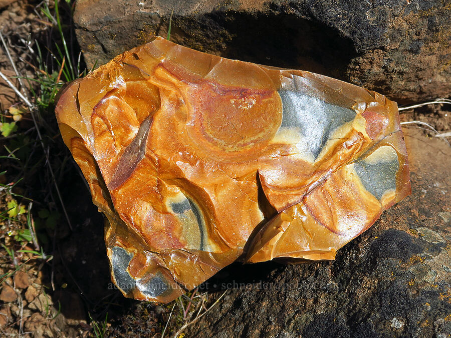 colorful rock [Leidl Ridge, Soda Springs Wildlife Area, Klickitat County, Washington]