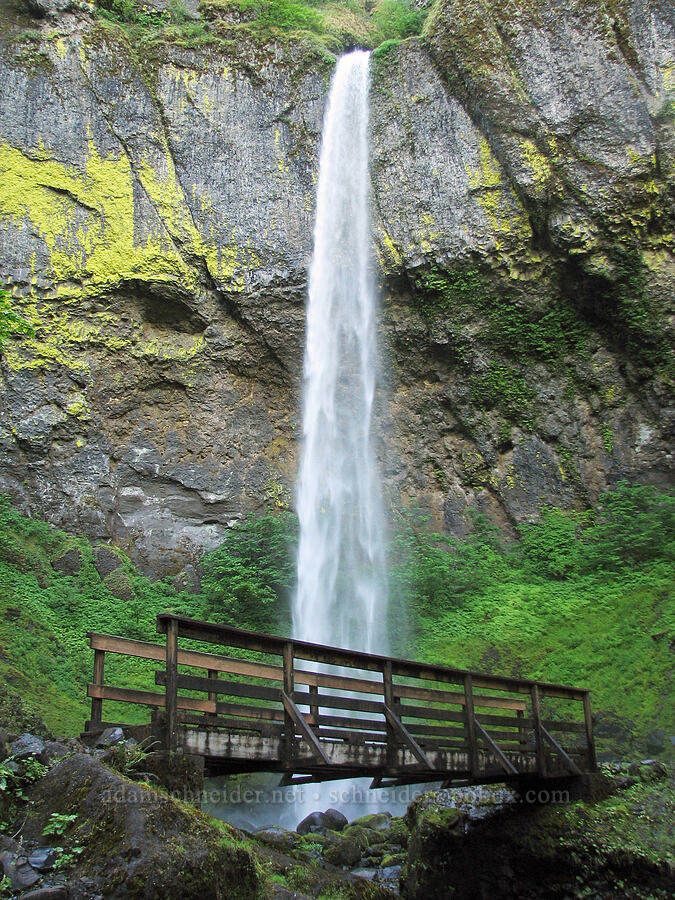 Elowah Falls [Elowah Falls Trail, John B. Yeon State Park, Multnomah County, Oregon]