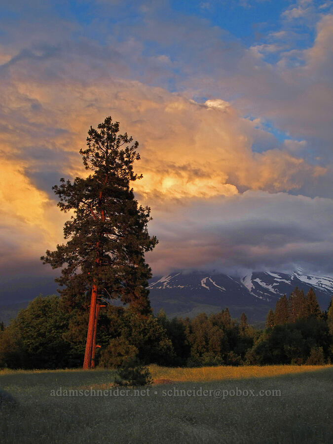 sunset over Mount Shasta [Boles Street, Weed, Siskiyou County, California]