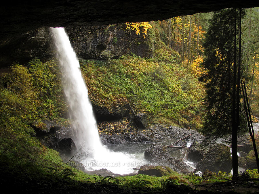 North Falls [Canyon Trail, Silver Falls State Park, Marion County, Oregon]
