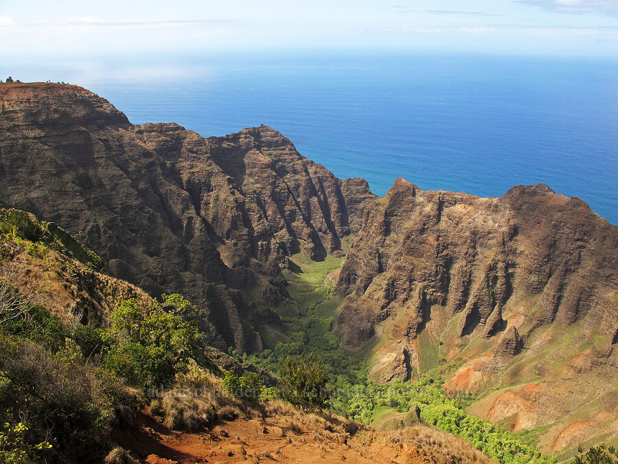 Nu'alolo Valley [Nu'alolo Cliffs Trail, Na Pali-Kona Forest Reserve, Kaua'i, Kaua'i, Hawaii]