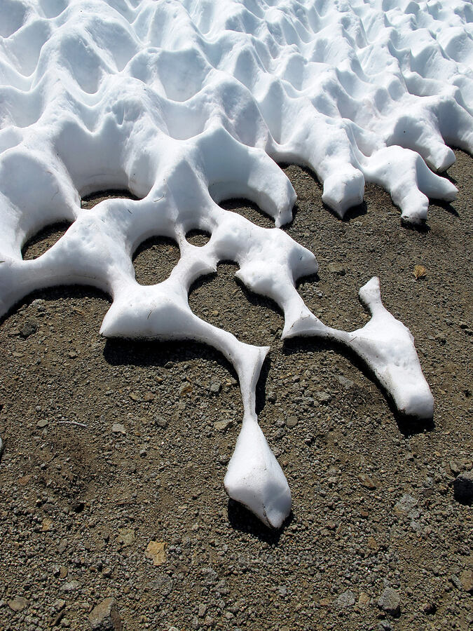 melting snow [Round Top, Mokelumne Wilderness, Alpine County, California]