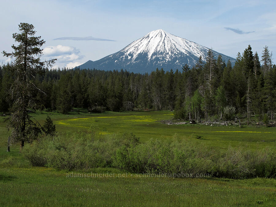 Mt. McLoughlin & Deadwood Prairie [Dead Indian Memorial Road, Rogue River-Siskiyou National Forest, Jackson County, Oregon]