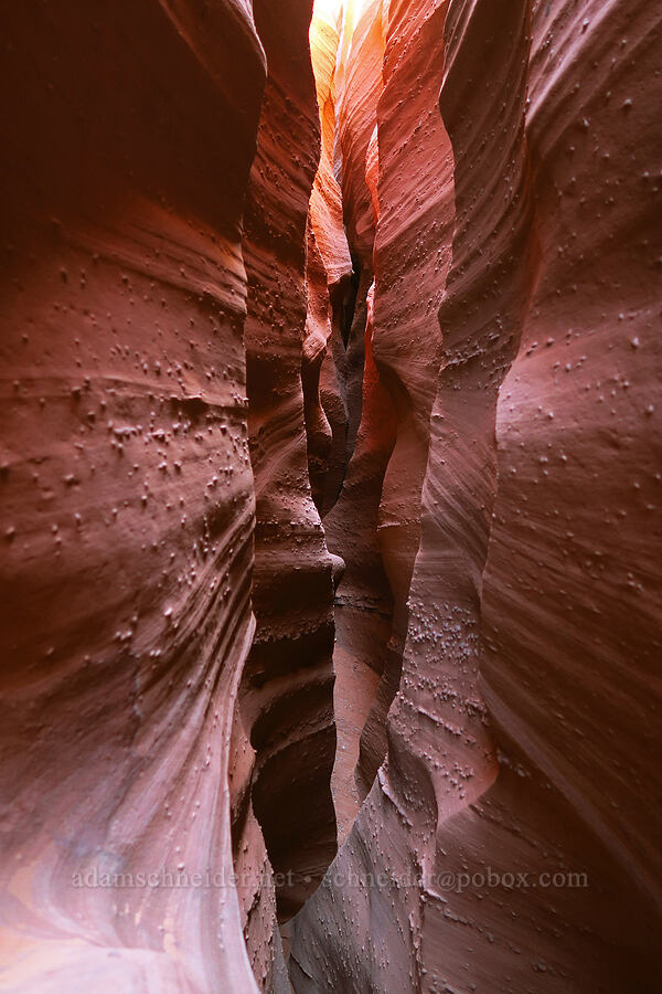 sandstone walls [Spooky Slot Canyon, Grand Staircase-Escalante National Monument, Kane County, Utah]