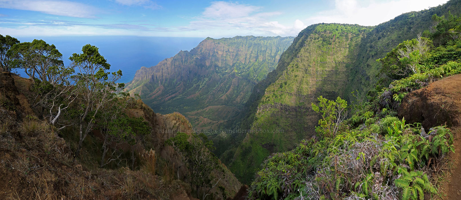 Kalepa Ridge panorama [Kalepa Ridge Trail, Na Pali Coast State Park, Kaua'i, Kaua'i, Hawaii]