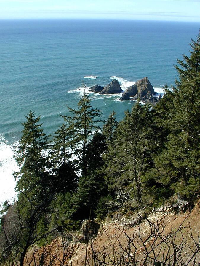 Pacific Ocean [Tillamook Head, Ecola State Park, Clatsop County, Oregon]