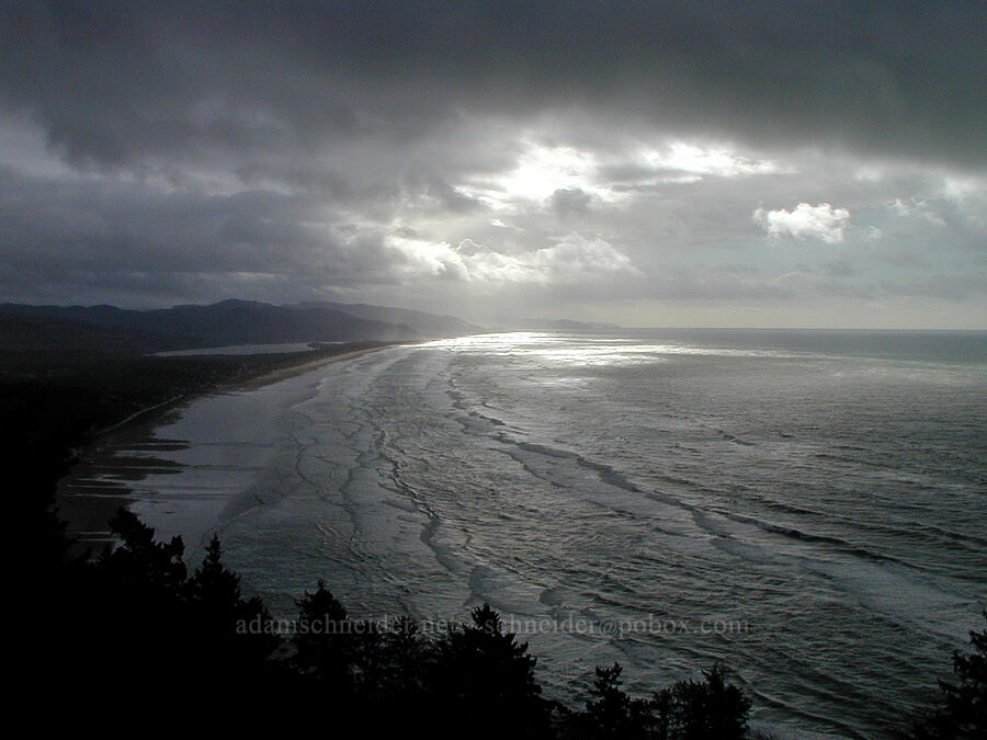 winter storm [Highway 101, Oswald West State Park, Tillamook County, Oregon]