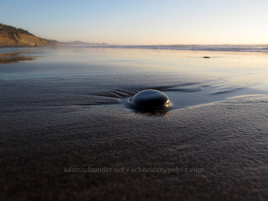 rock on the beach [Beverly Beach State Park, Lincoln County, Oregon]