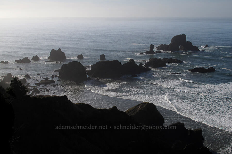 sea stacks & Sea Lion Rock [Indian Beach Trail, Ecola State Park, Clatsop County, Oregon]