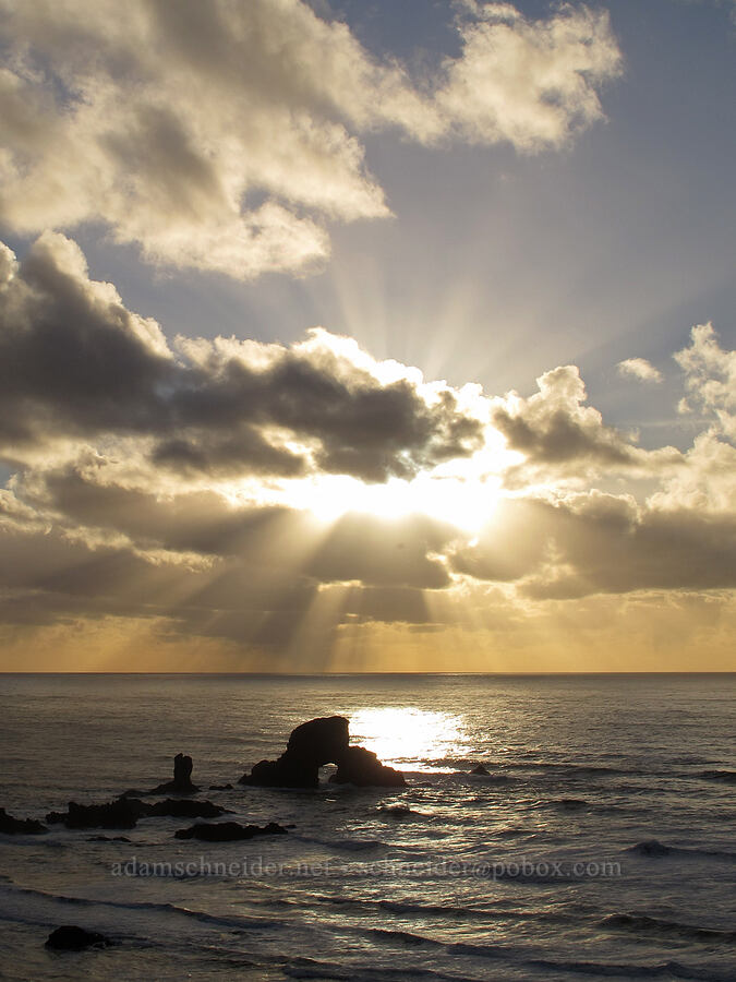 Sea Lion Rock & winter sun [Indian Beach Trail, Ecola State Park, Clatsop County, Oregon]