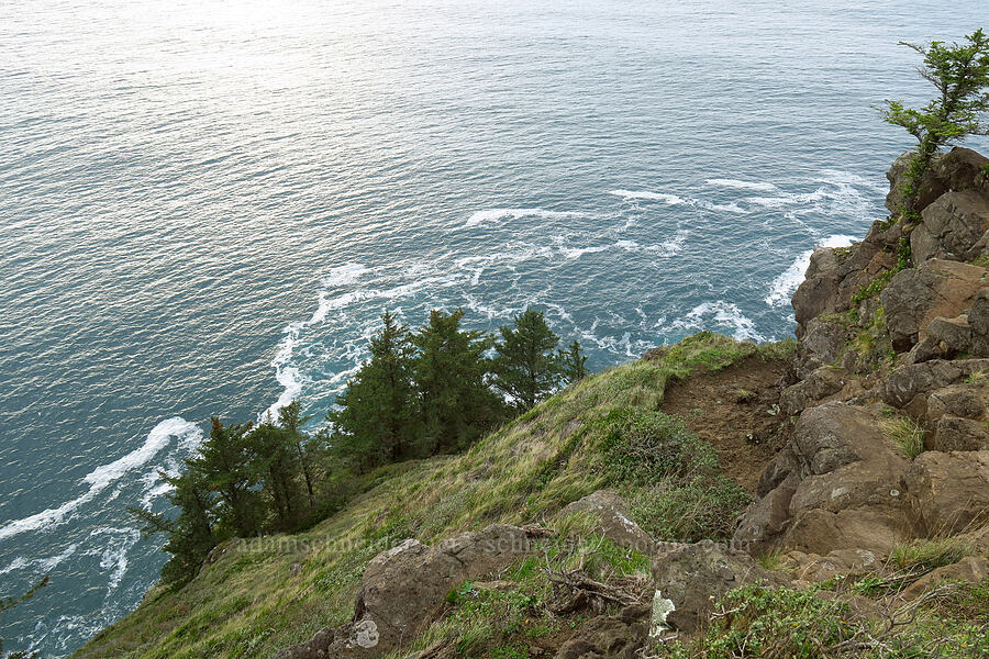 southwest corner of Cape Lookout [Cape Trail, Cape Lookout State Park, Tillamook County, Oregon]