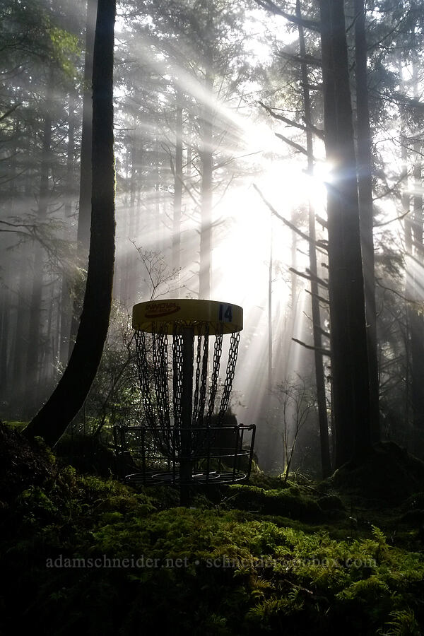 disc golf, sun, & fog [Wilder Disc Golf Course, Newport, Lincoln County, Oregon]