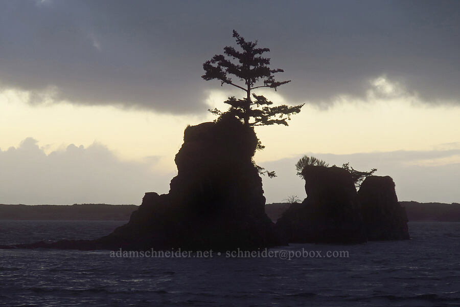 Three Brothers [Schooner Creek Bridge, Lincoln City, Lincoln County, Oregon]