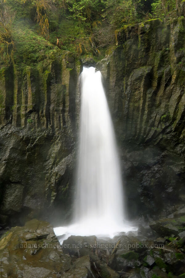 Drift Creek Falls [Drift Creek Falls Trail, Siuslaw National Forest, Lincoln County, Oregon]