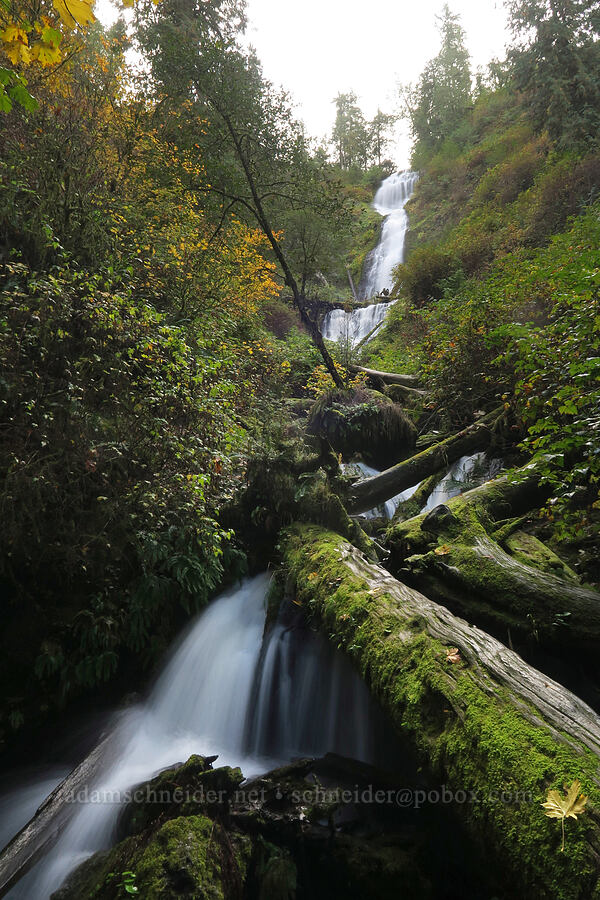 Munson Creek Falls [Munson Creek Falls State Natural Site, Tillamook County, Oregon]