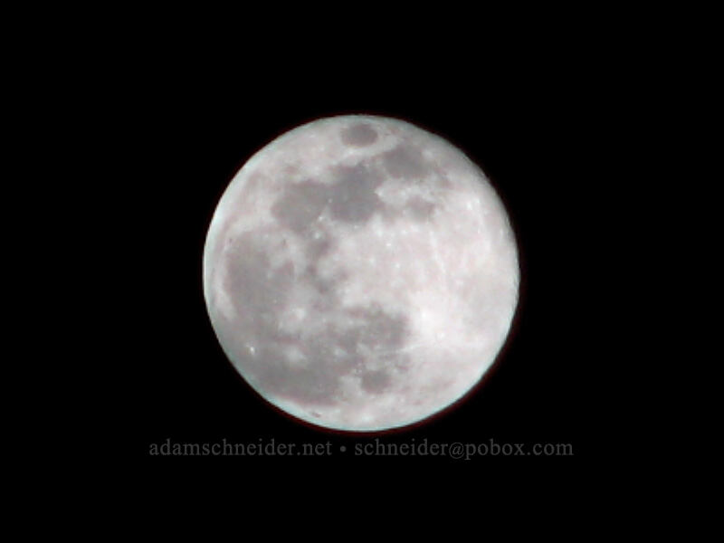 full moon [Knapp Street, Portland, Multnomah County, Oregon]