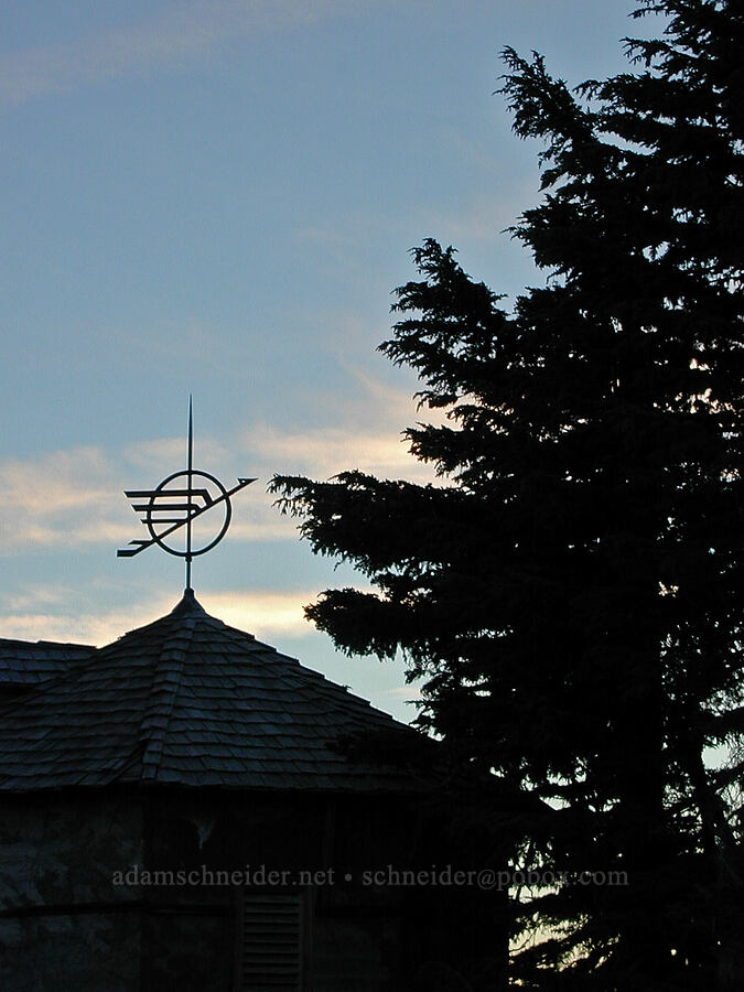 weathervane & hemlock tree [Above Timberline Lodge, Mt. Hood National Forest, Clackamas County, Oregon]