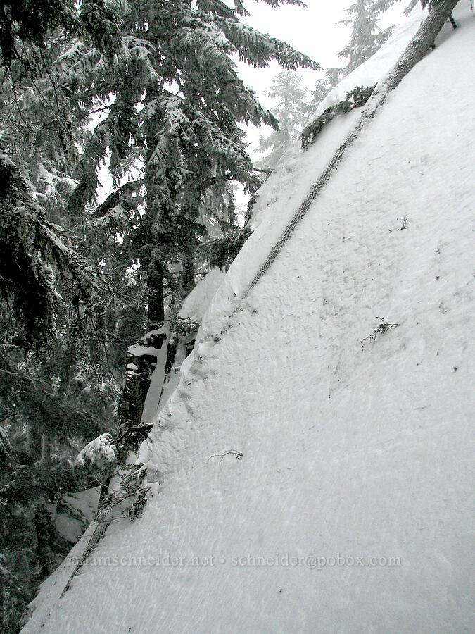 steep snow slope [Barlow Butte, Mt. Hood National Forest, Hood River County, Oregon]