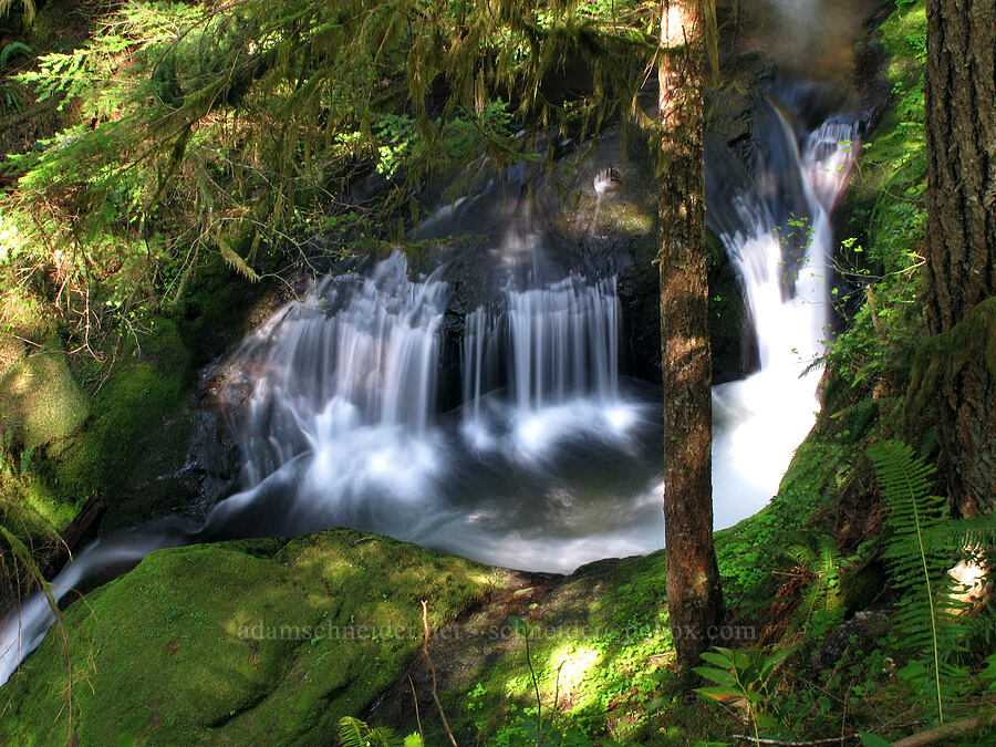 Duncan Creek [Nellie Corser Wildlife Area, Skamania County, Washington]