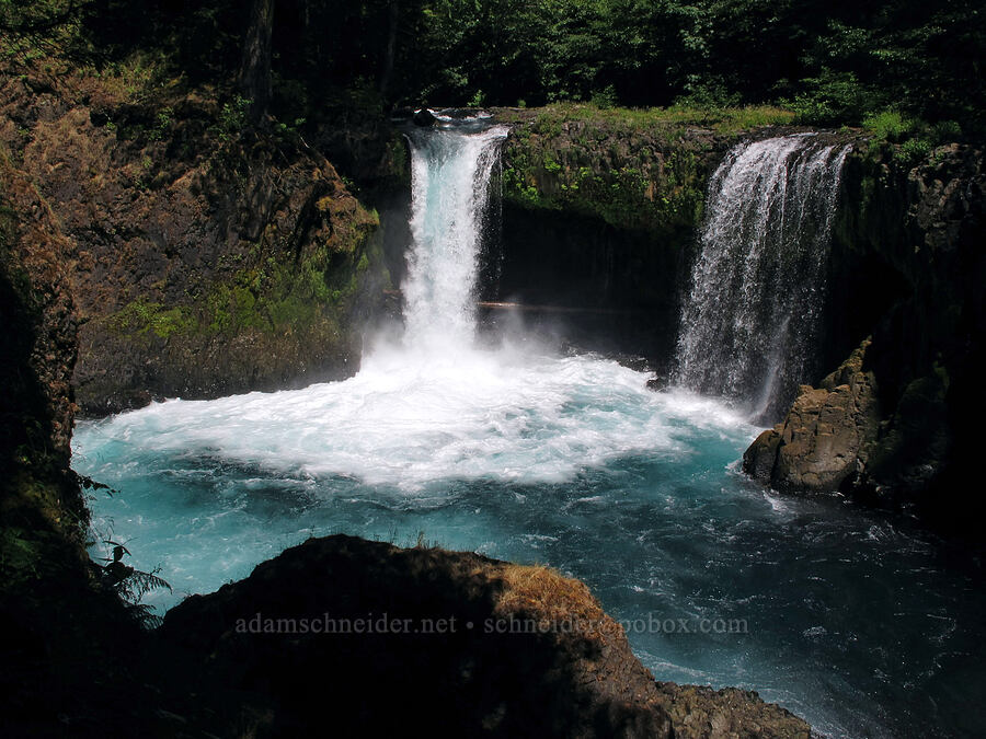 Spirit Falls [Spirit Falls Trail, Skamania County, Washington]
