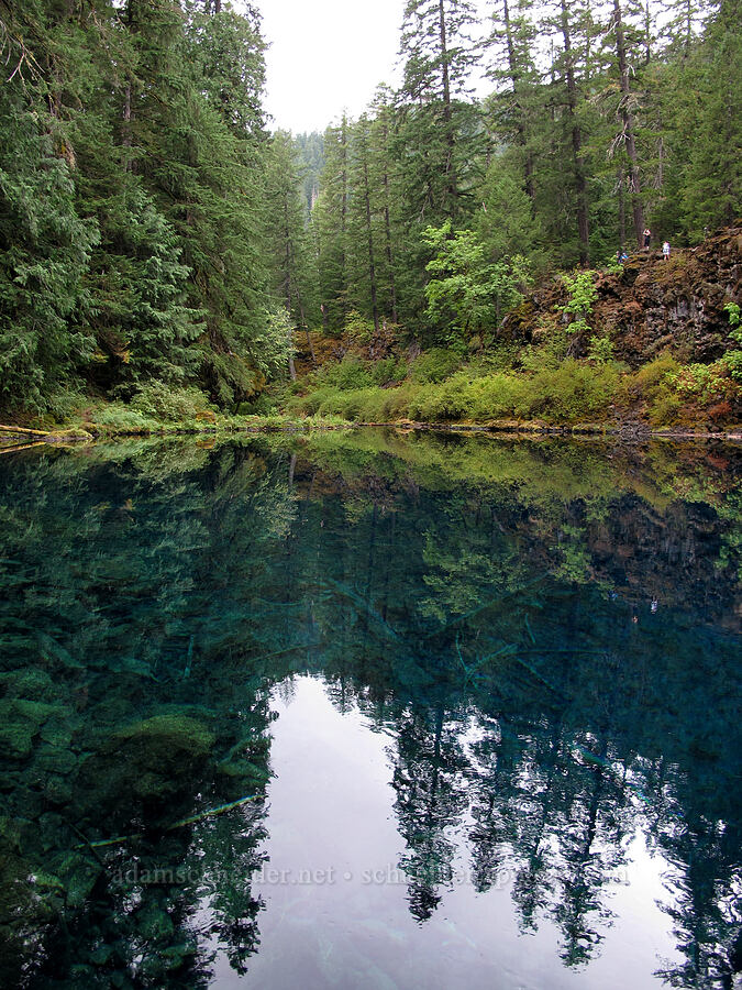 Blue Pool [Tamolitch Pool, Willamette National Forest, Linn County, Oregon]