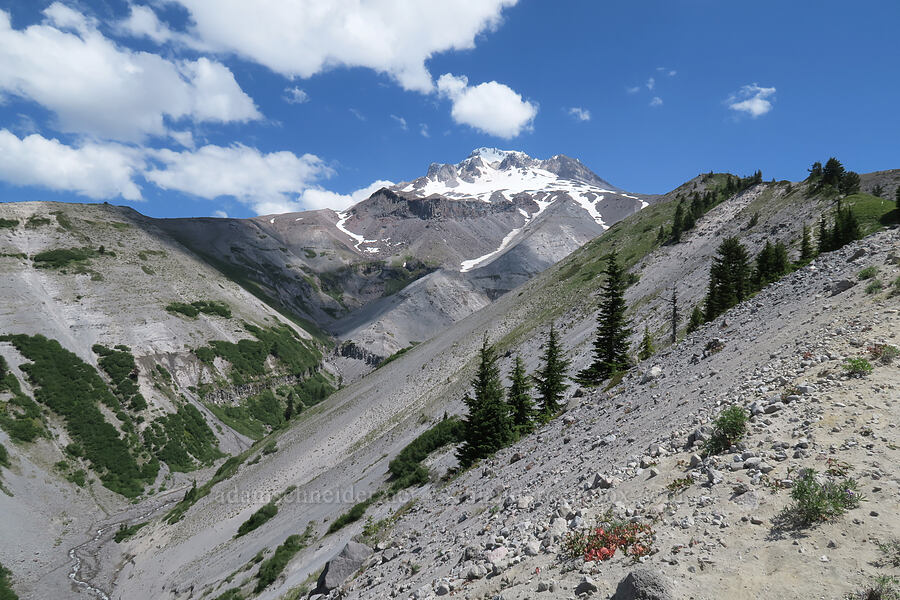 Mount Hood & Zigzag Canyon [Timberline Trail, Mt. Hood National Forest, Clackamas County, Oregon]