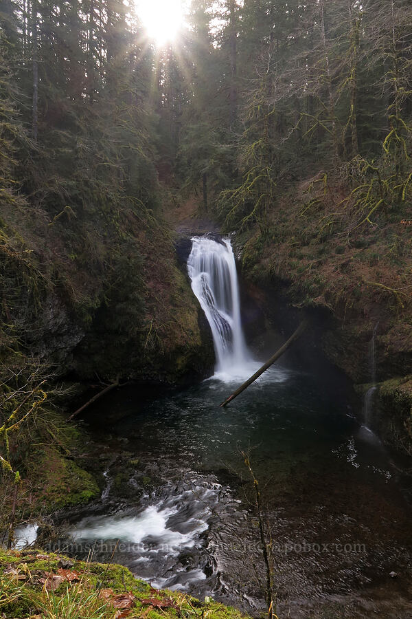 Butte Creek Falls [Butte Creek Falls Trail, Santiam State Forest, Marion County, Oregon]