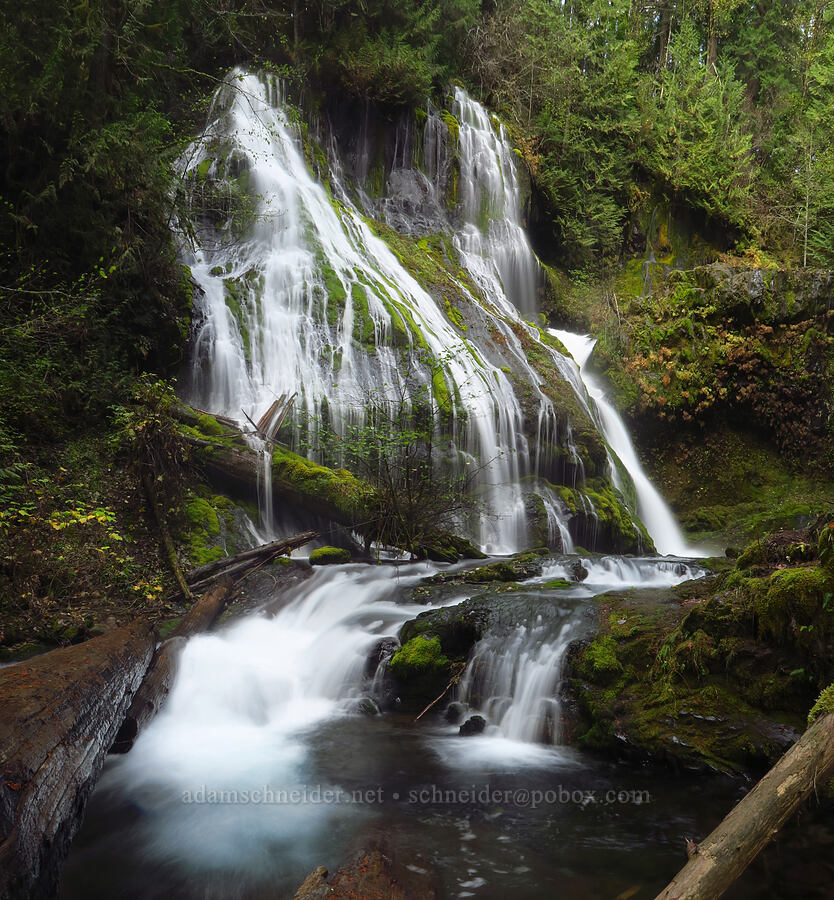 Panther Creek Falls [Panther Creek Falls Trail, Gifford Pinchot National Forest, Skamania County, Washington]