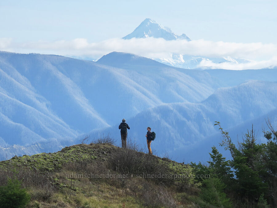 hikers & Mt. Hood [Phlox Point, Gifford Pinchot National Forest, Skamania County, Washington]