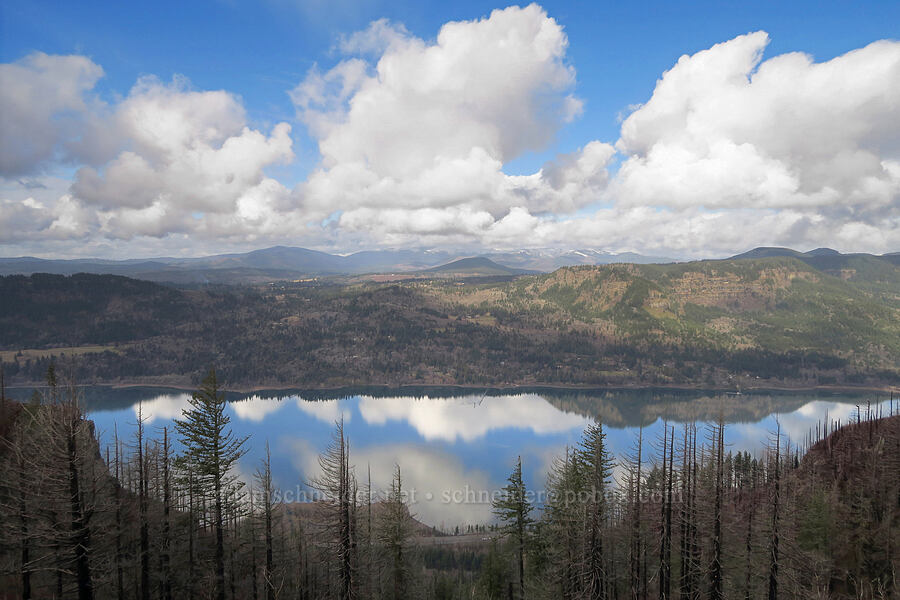 view toward Silver Star Mountain [Angel's Rest Trail, Mt. Hood National Forest, Multnomah County, Oregon]