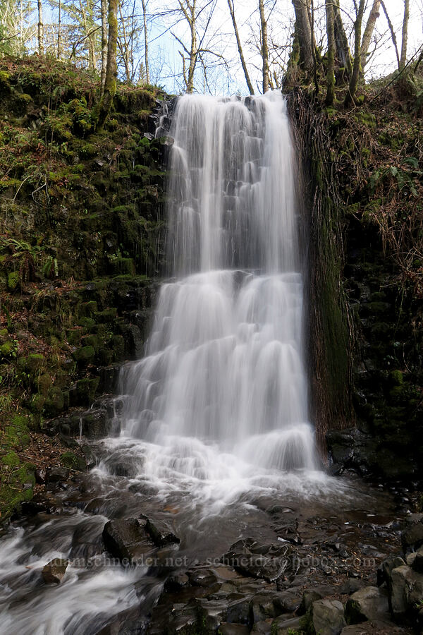 Upper Coopey Falls [Angel's Rest Trail, Shepperd's Dell State Park, Multnomah County, Oregon]